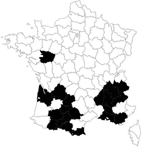 repartition-As-fest