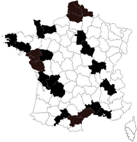 repartition Sitt saltator