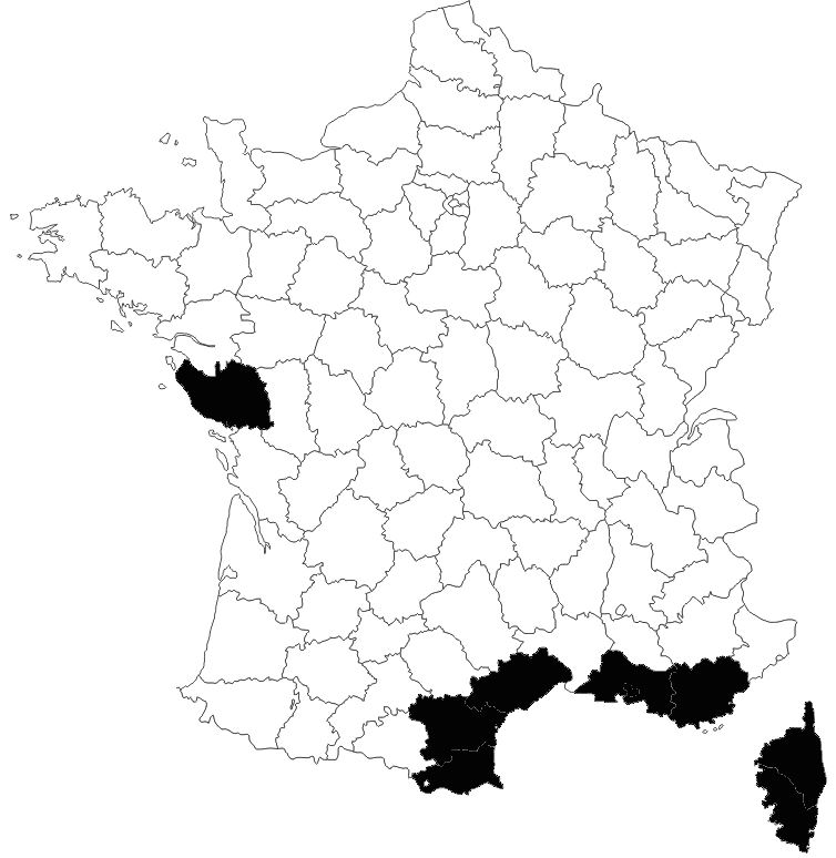 rpartition-B-albobimaculatus
