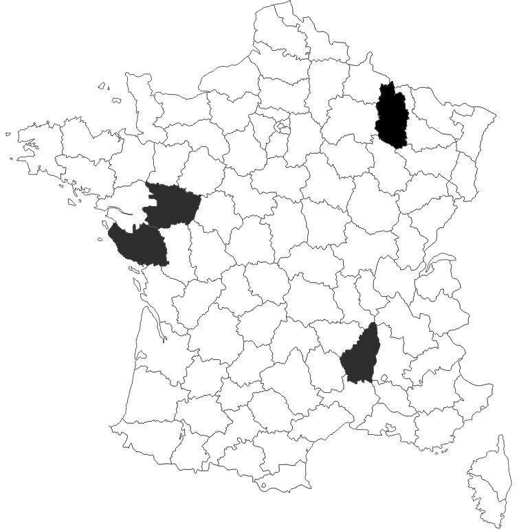 rpartition-Ch-nigritus