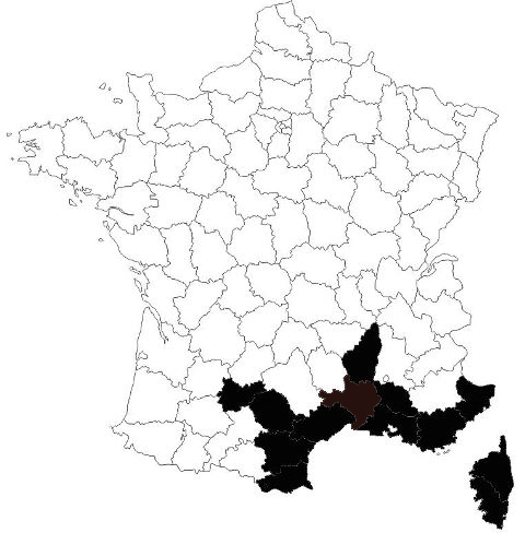 repartition-cyrba