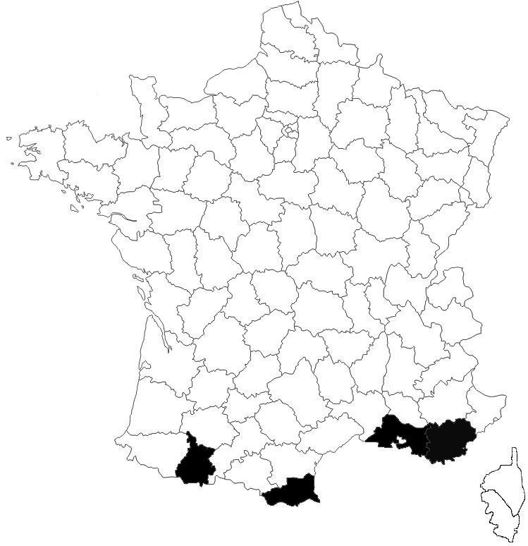 repartition-Euop-nigritarsis