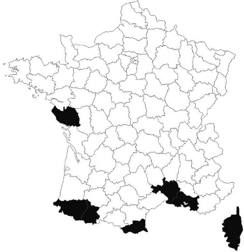 repartition-Heliophanus-lineiventris