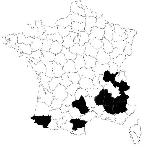repartition Heliophanus patagiatus