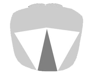prosoma-pomatia