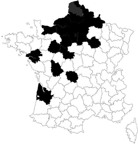 repartition-mar-radiata