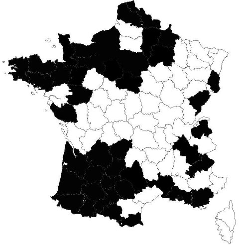 repartition-neon-reticulatus