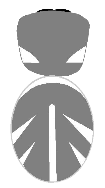 compar-abd-cing-sceni-copie