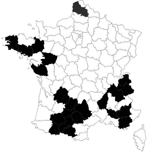 rpartition-Pel-nigrociliatus
