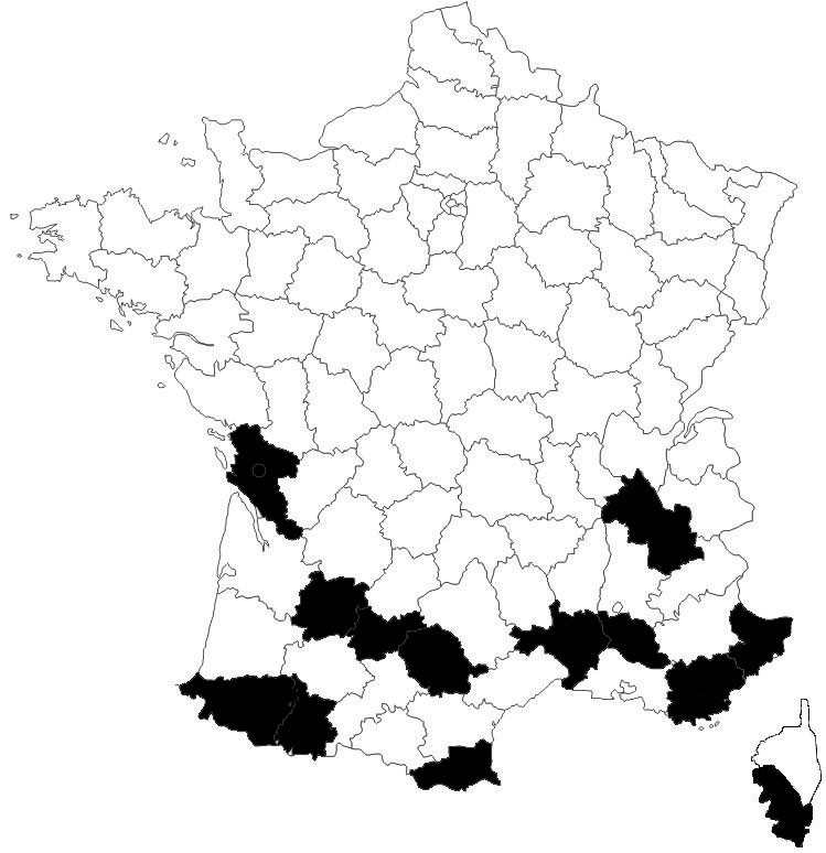 repartition phint cast