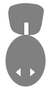 sil-erratica