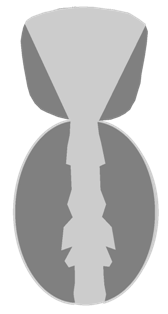 sil-lanigera