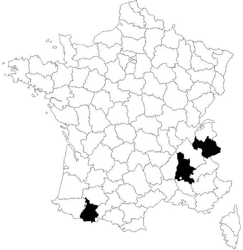 repartition-Sit-atricapillus