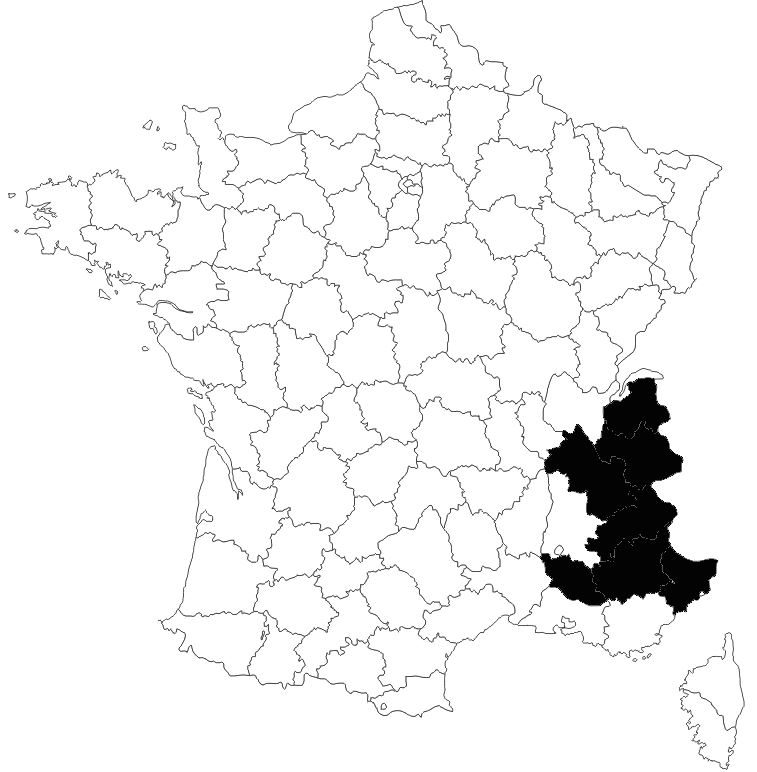rpartition-S-longipes