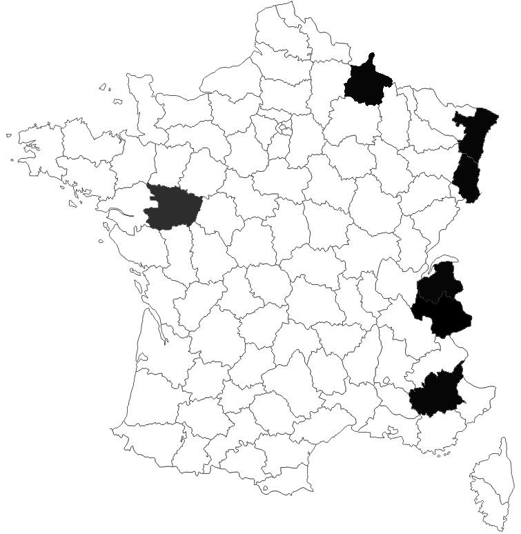 rpartition-Si-penicillatus